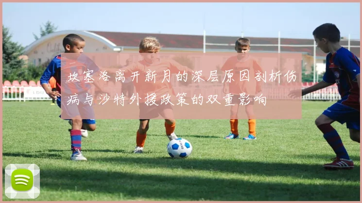 坎塞洛离开新月的深层原因剖析伤病与沙特外援政策的双重影响